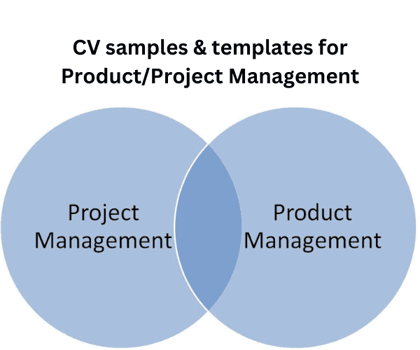 Product/Project Management CV Samples and Templates